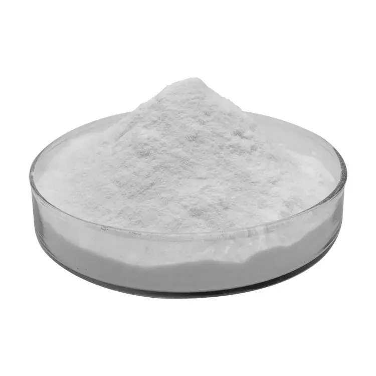 ISO nhà sản xuất bán buôn Saw Palmetto bột chiết xuất 45% 25%