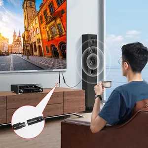 Divisor de Audio Digital 1x2 Toslink Divisor de Audio de fibra óptica Digital 1 entrada macho 2 salida hembra para cine en casa PS3/PS4 - Product Image 6