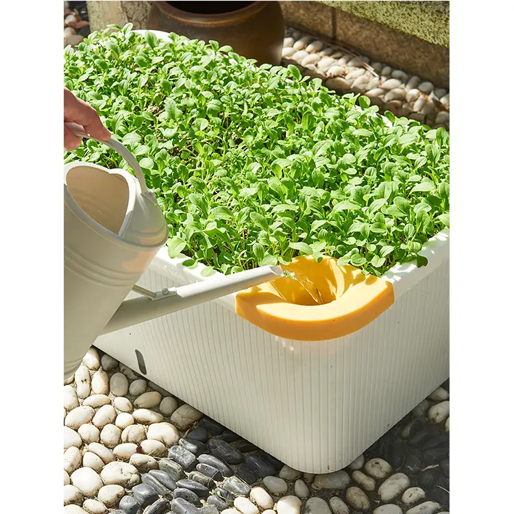 Hausgebrauch Indoor- und Gartengrüns-Baubox großer verdickter Gemüse- und Obsttopf