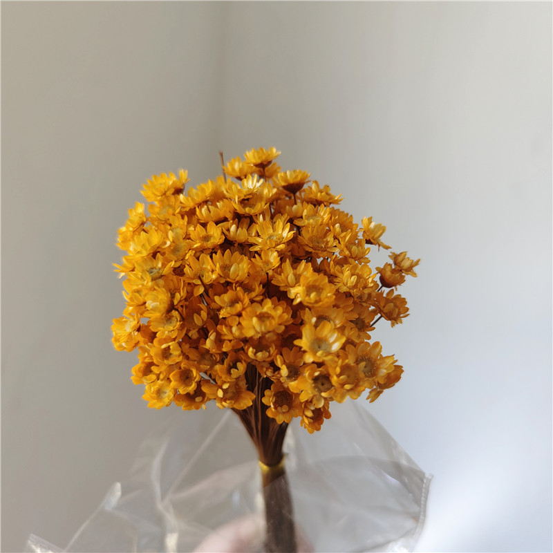 50 stems - Orange