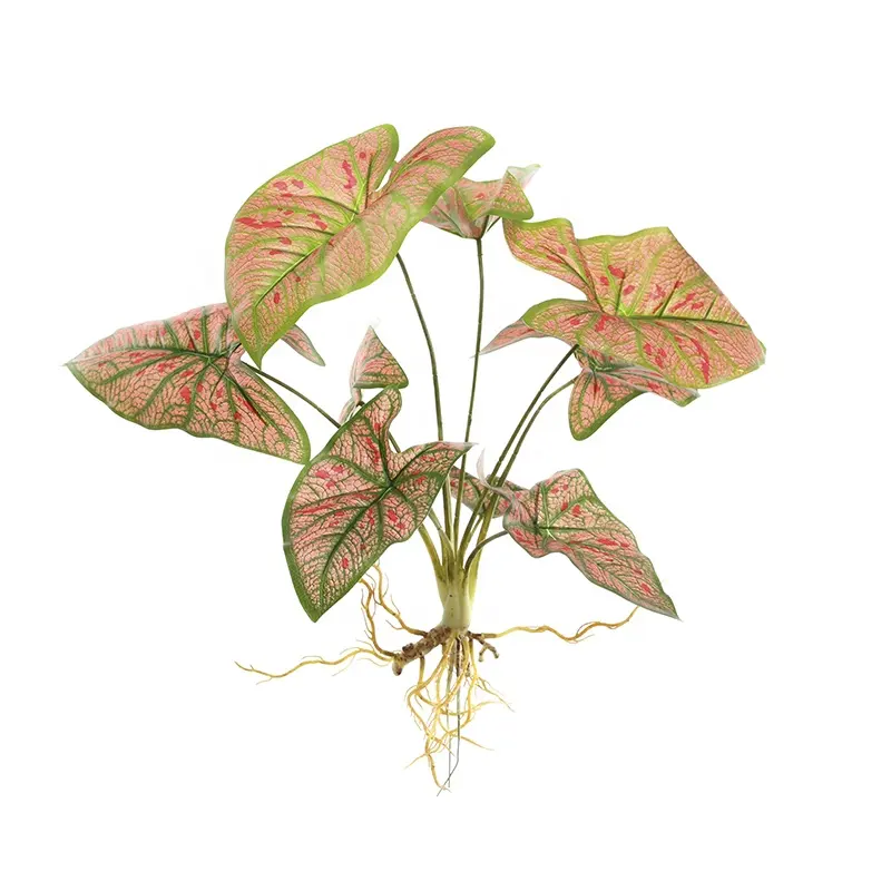 NWYZ-24 en gros pas cher PE Simulation Arum Alocasia Longiloba Caladium Bicolor Bundle de plantes artificielles pour décorer le bureau