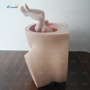 Mô hình đào tạo hộ sinh mô phỏng Giải phẫu mô hình đào tạo kỹ năng sinh nở xương chậu nữ mô hình đào tạo hộ sinh - Product Image 4