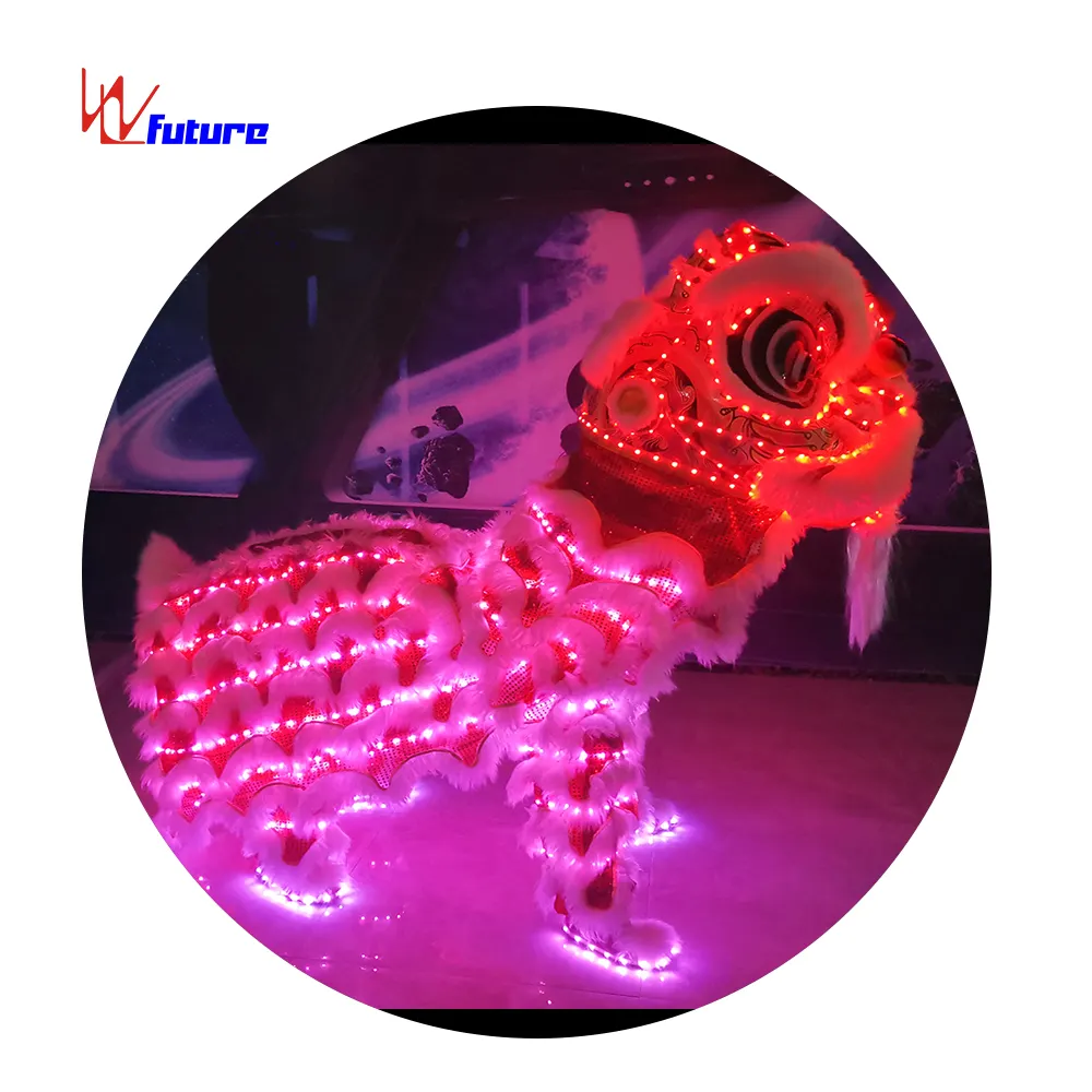 Costume di danza del leone sfogo Festival celebrazione mascotte futura moda di lusso per il tradizionale nuovo anno ha portato il Logo cinese personalizzato