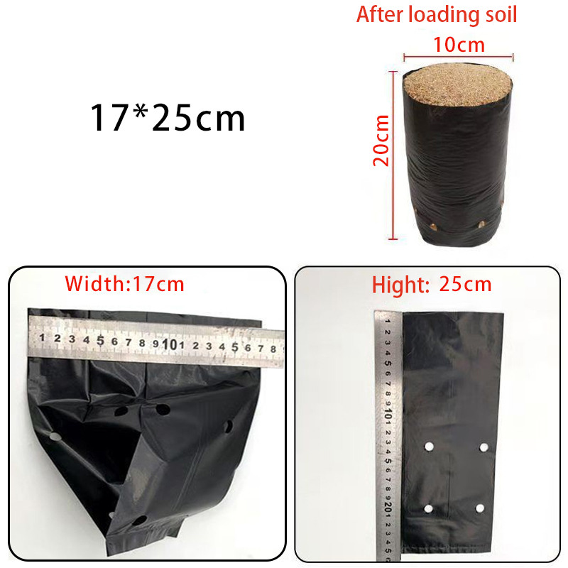 17*25cm