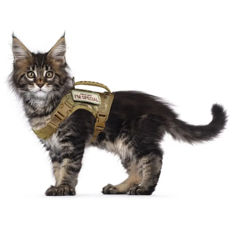 Custom Nylon Tactical Adjustable Pet Cat Harness And Leash Luxury Dog Harness