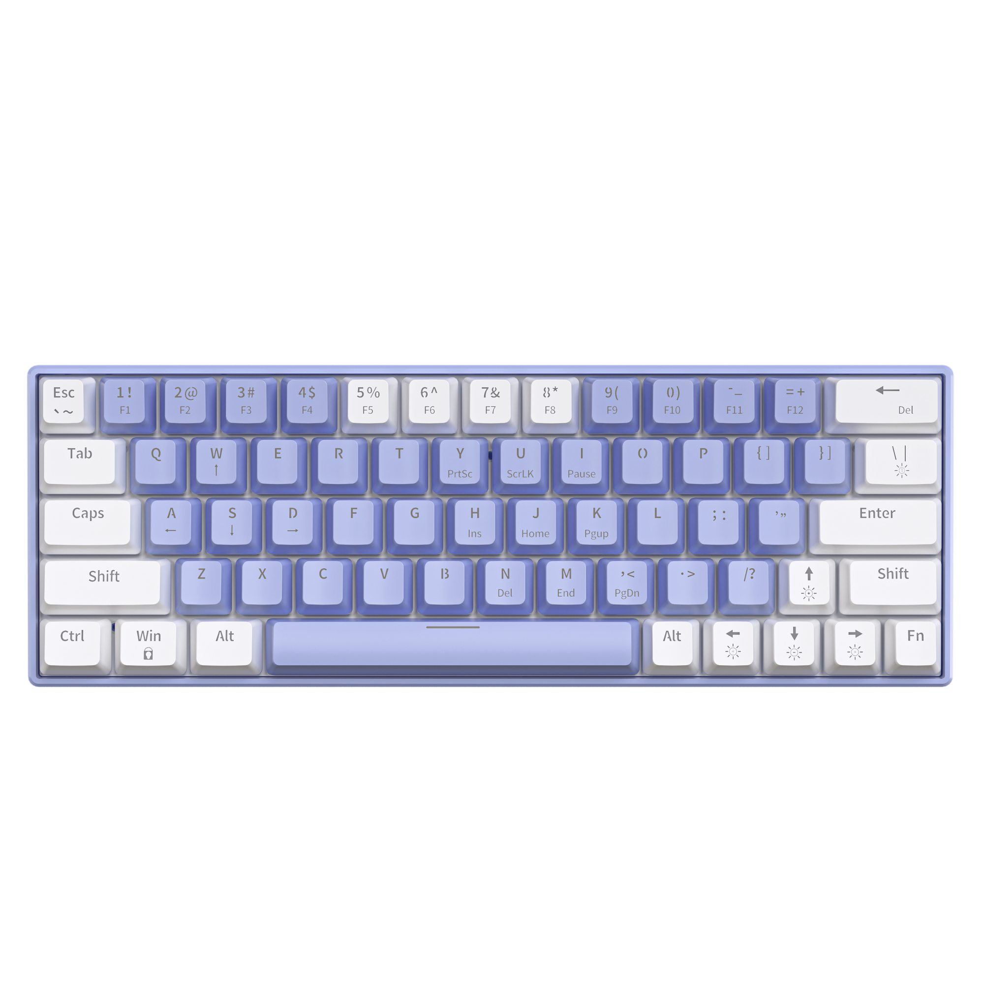 T62-63Keys- Purple White