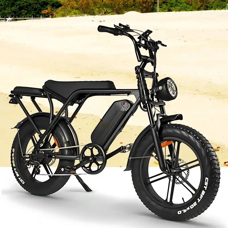 Pedal Assist Electric Bike Bicycle e bikes 2023 electric bicycle bicicleta mountain bike inverter rechargeable electric bicycle