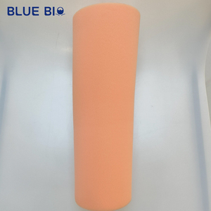 Dưới đầu gối amputees Chân Giả Chân Giả Chân Giả Chân Giả BK mỹ phẩm bọt bìa (mạnh mẽ) - Product Image 5