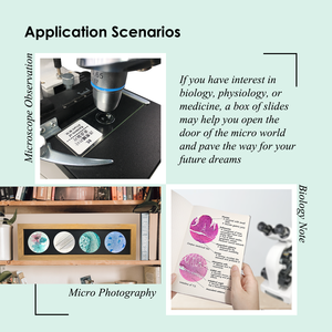 100% Nhà Máy Y Tế Khoa Học Giáo Dục Chuyên Nghiệp Nguồn Cung Cấp 30 Các Loại Thiết Lập Thực Vật Phôi Thai Và Trái Cây Kính Hiển Vi Slide - Product Image 6