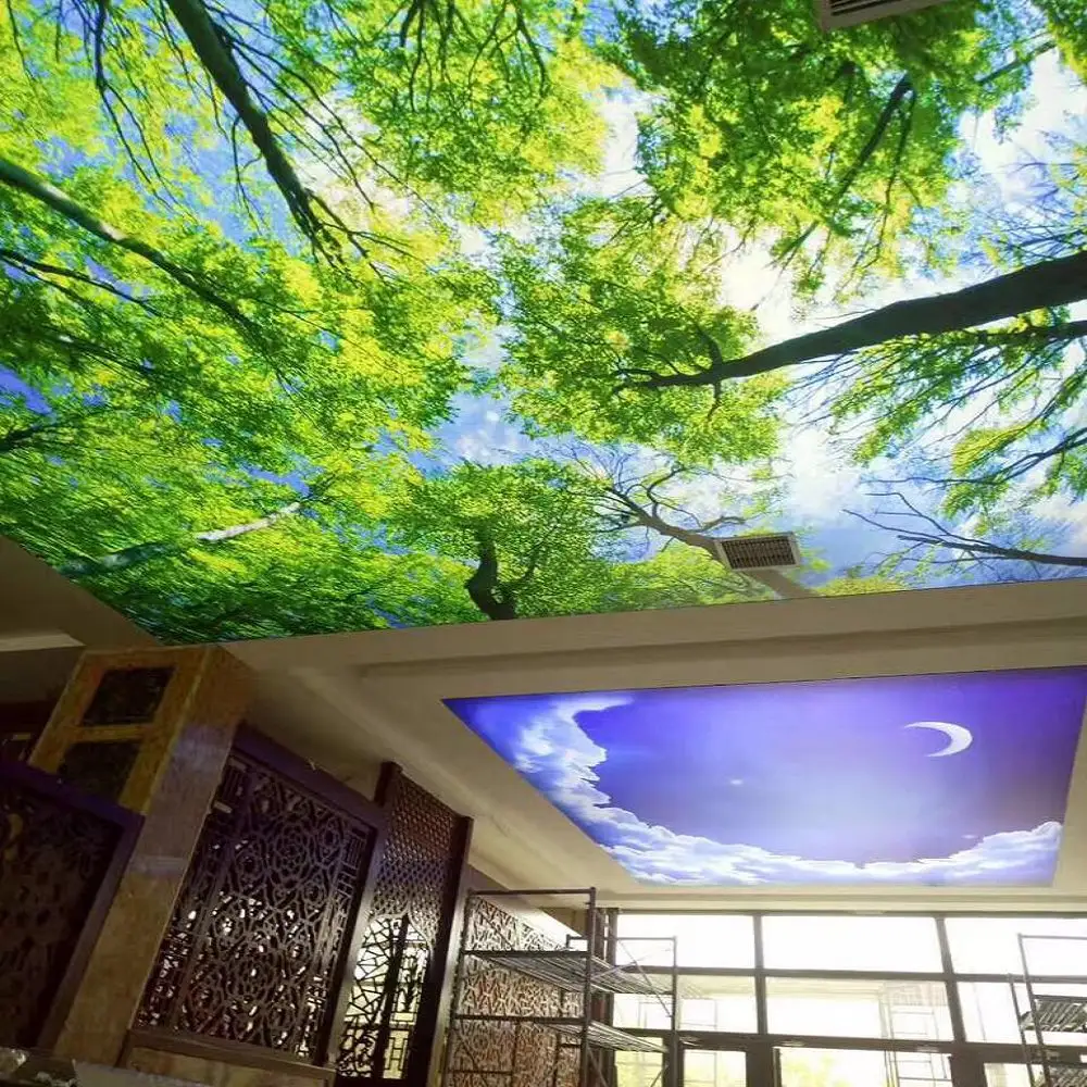 Pemasok Grosir Film Dekoratif Film Seni Ruang Cetak untuk Desain Langit-langit Lampu 3D untuk Langit-langit Rumah