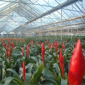 Panno di alluminio riflettente 82m * 95% m dell'ombra di 4.3, schermo termico d'argento e rete di protezione solare per la copertura del giardino - Product Image 4
