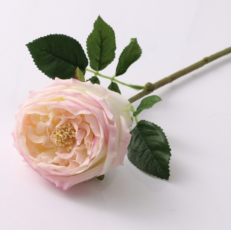Rosa claro