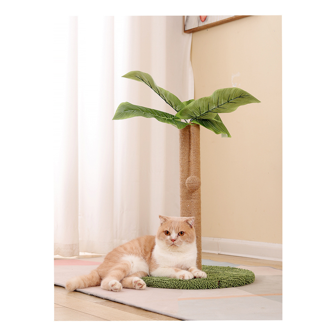 Arbre à chat Canna indica - Poteau simple de 50 cm