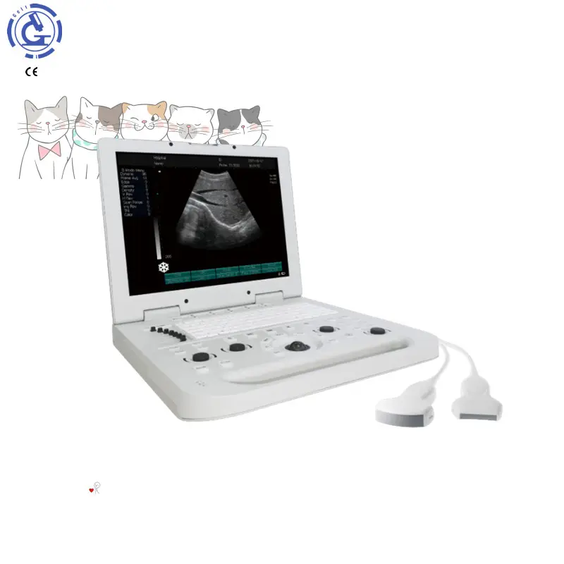 Image Offre Spéciale de la haute définition de machine d'ultrason de couleur de Doppler bon marché de 3D pour l'humain