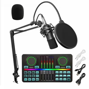 OEM Studio Recording Dual Live Broadcast <strong>Audio</strong> Interface D9 48V Supply USB Type C Sound Card and BM700 <strong>Microphone</strong> - Product Image 1