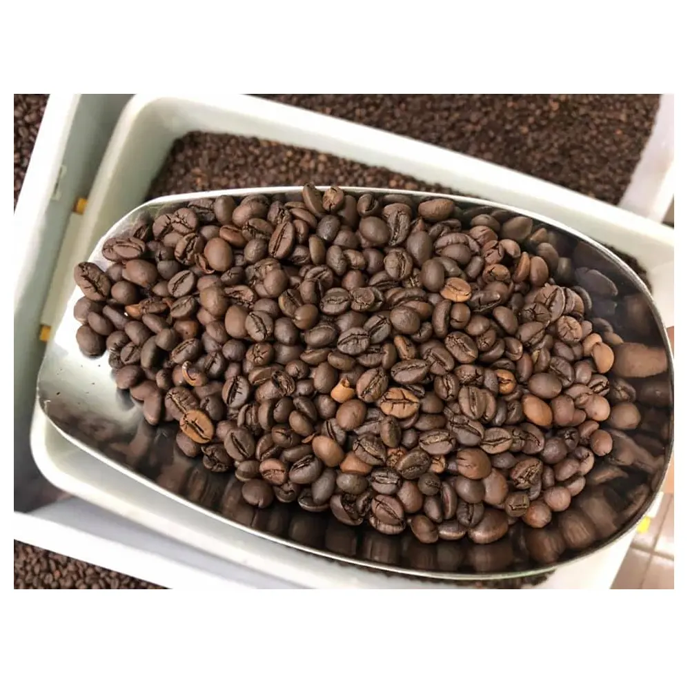 Granos de café tostados, granos de café verde de Vietnam, venta al por mayor, WHATSAP 0084989322607
