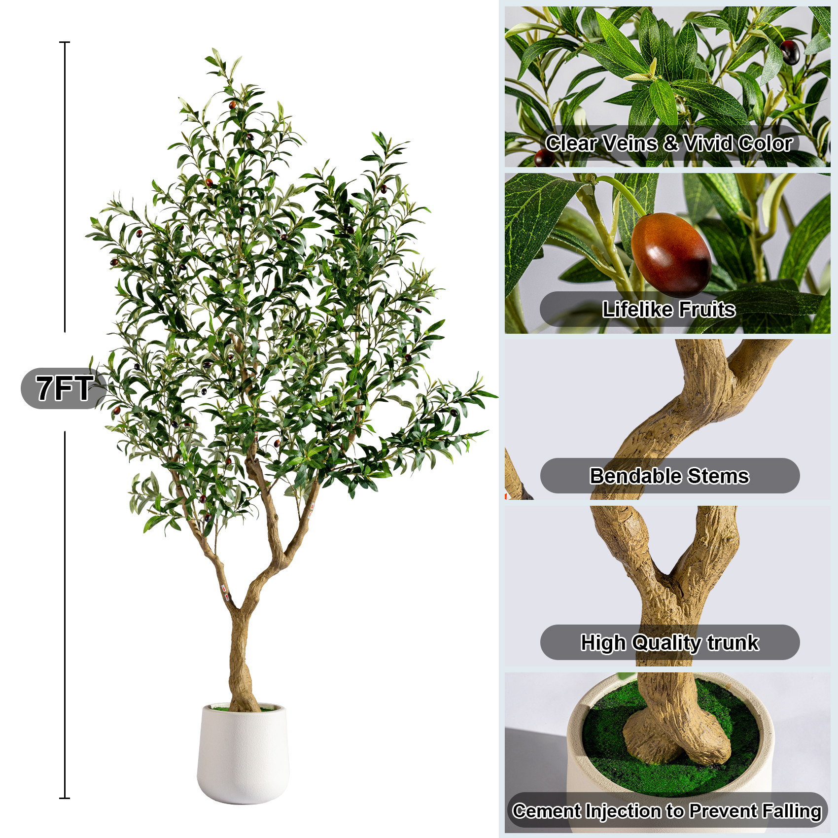 7ft Premium Olive Tree - Natural Trunk