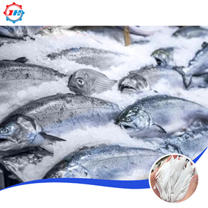 厂家直销工业大容量商用制冰机小型块状制冰机 - Product Image 6