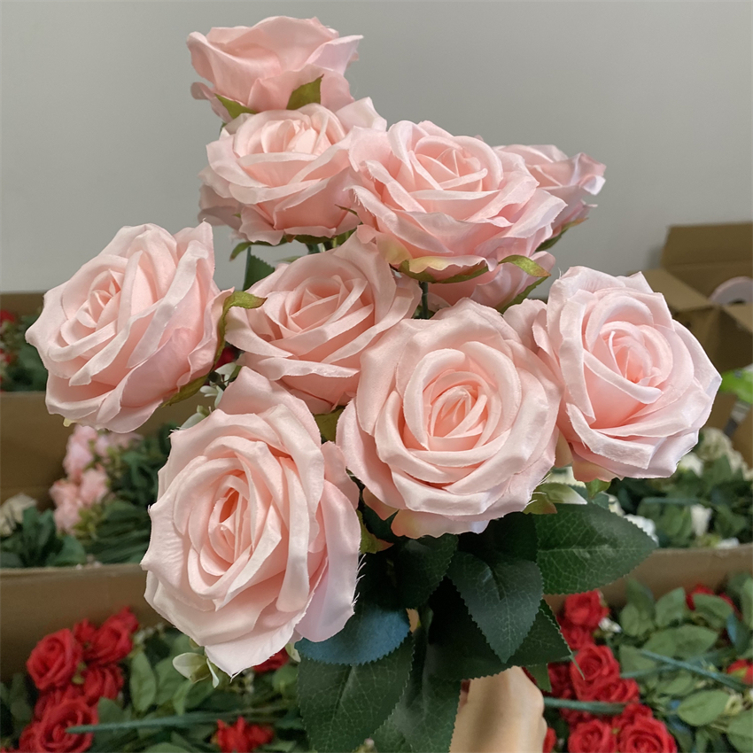 Rosa