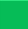 Pasto verde