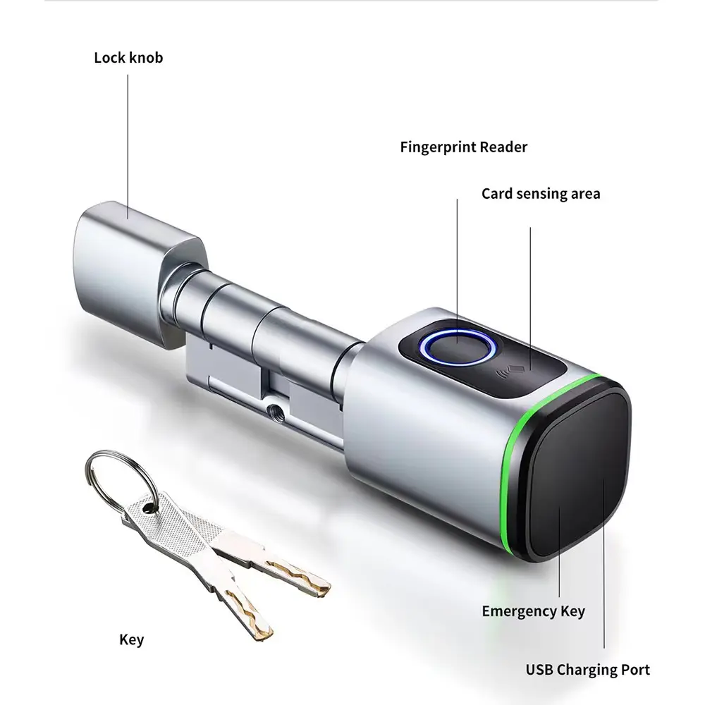 Serrure à empreinte digitale Euro Cylindre Serrure de porte électronique intelligente Carte RFID Bluetooth Entrée numérique sans clé Serrure de maison intelligente