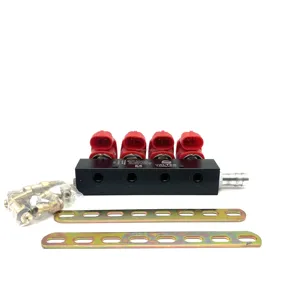 Cng Gas Rail Injector Sequential Injection Repair Common Injector Lpg Kit Injector Rail 4cyl Cng Fuel 2ohm 3ohm for Auto <strong>Parts</strong> - Product Image 1