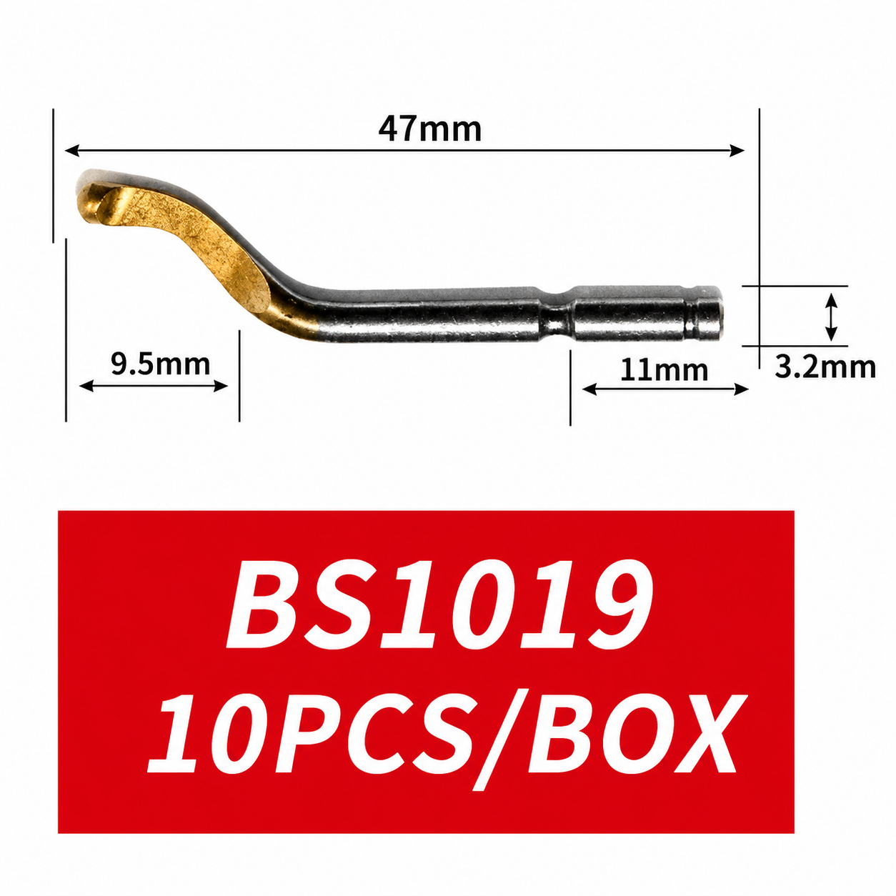 BS1019