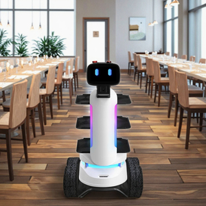 Robot de entrega comercial con sensor de evitación de obstáculos de ultrasonido de diseño humanoide inteligente - Product Image 1