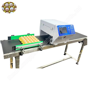 Leistungs starke Eier codier maschine Einzelei-Tinten strahl drucker Automatische Datumscode-Druckmaschine - Product Image 2