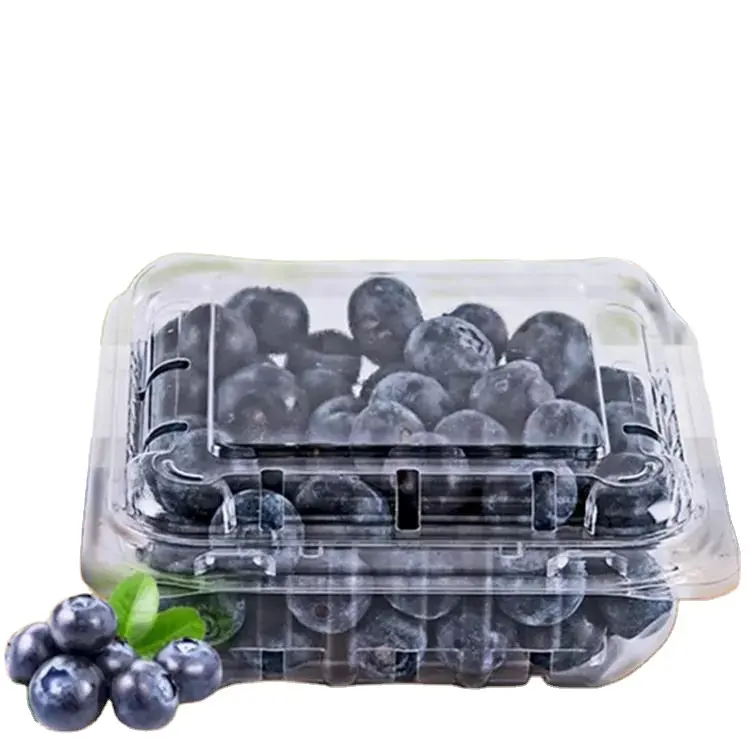 Caja de embalaje de bayas azules gruesas transparentes de plástico desechable de alta calidad Bandeja de frutas PET