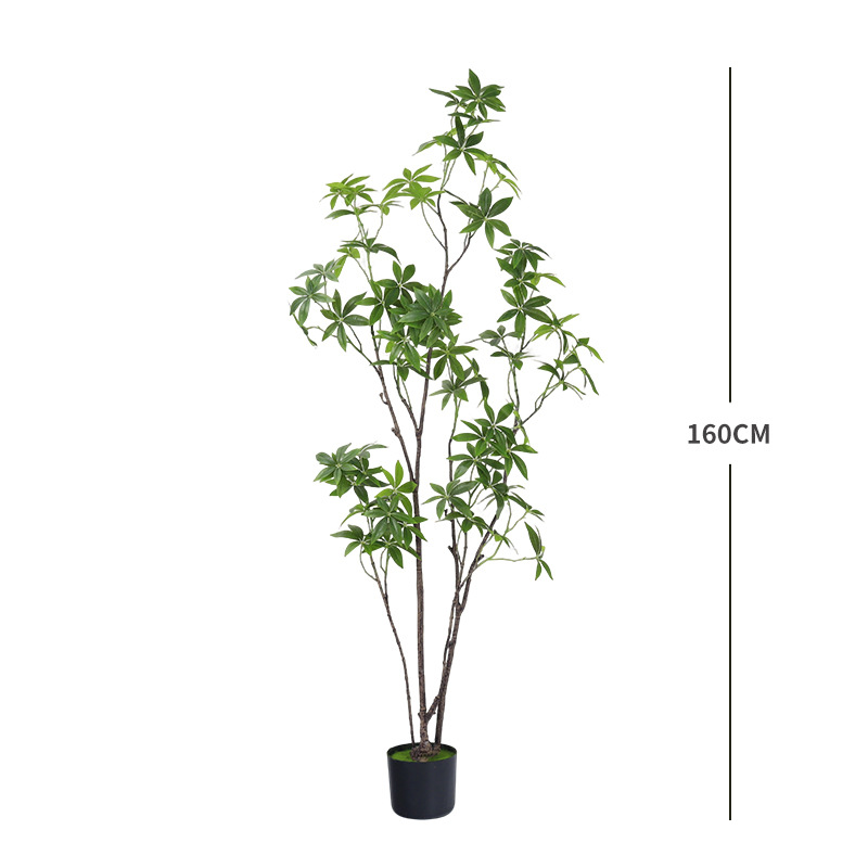A 160cm