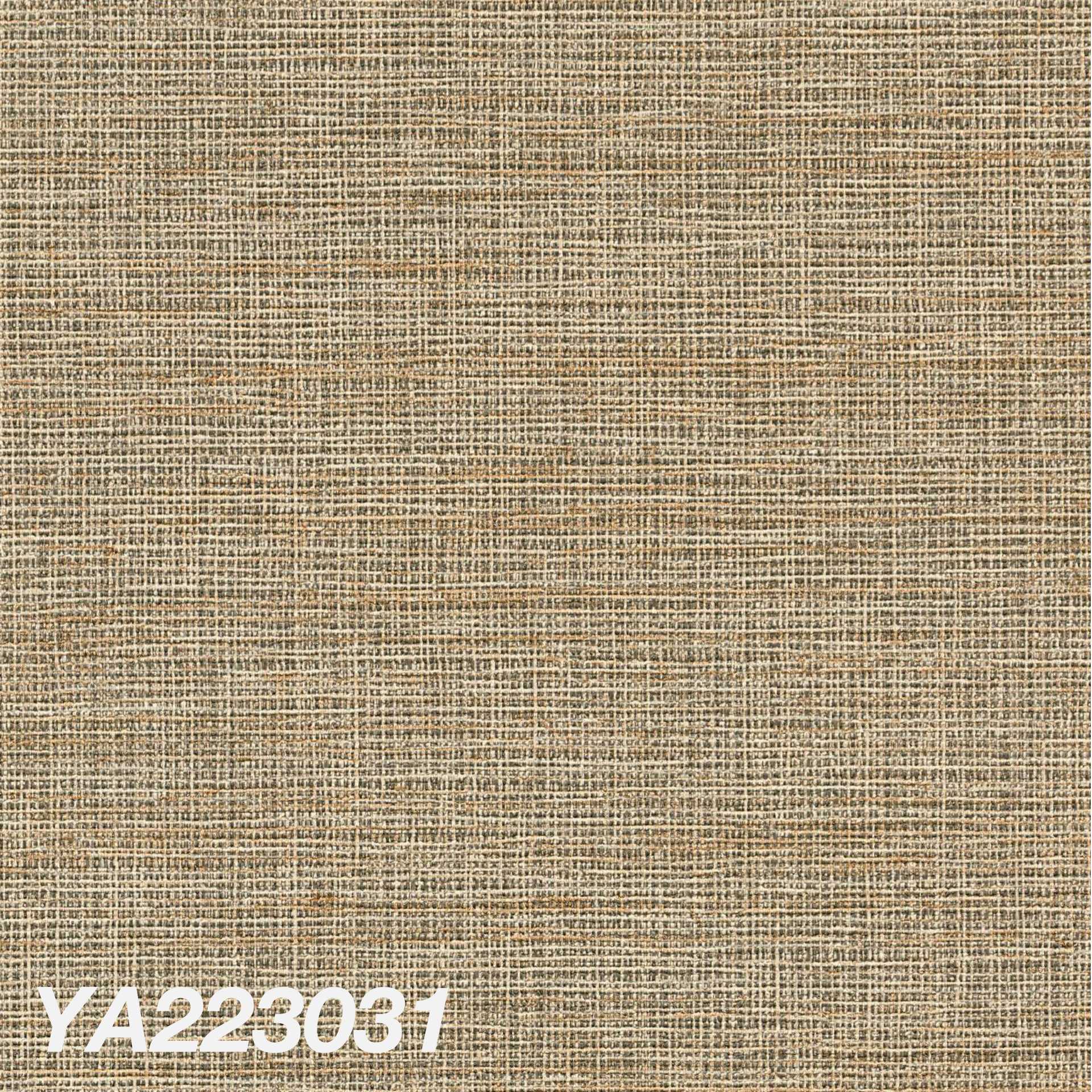 YA223031
