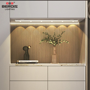 Linear Warm White Berdis Aluminum CE 0.3meter 2w Led <strong>Tube</strong> 1W <strong>0.6m</strong> 0.9m SMD Spotlight Led Cabinet Light - Product Image 6