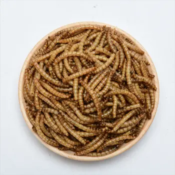 Yee makanan ikan mealworm kering 100% murni alami Grosir Ikan Nirds makanan hewan peliharaan kecil