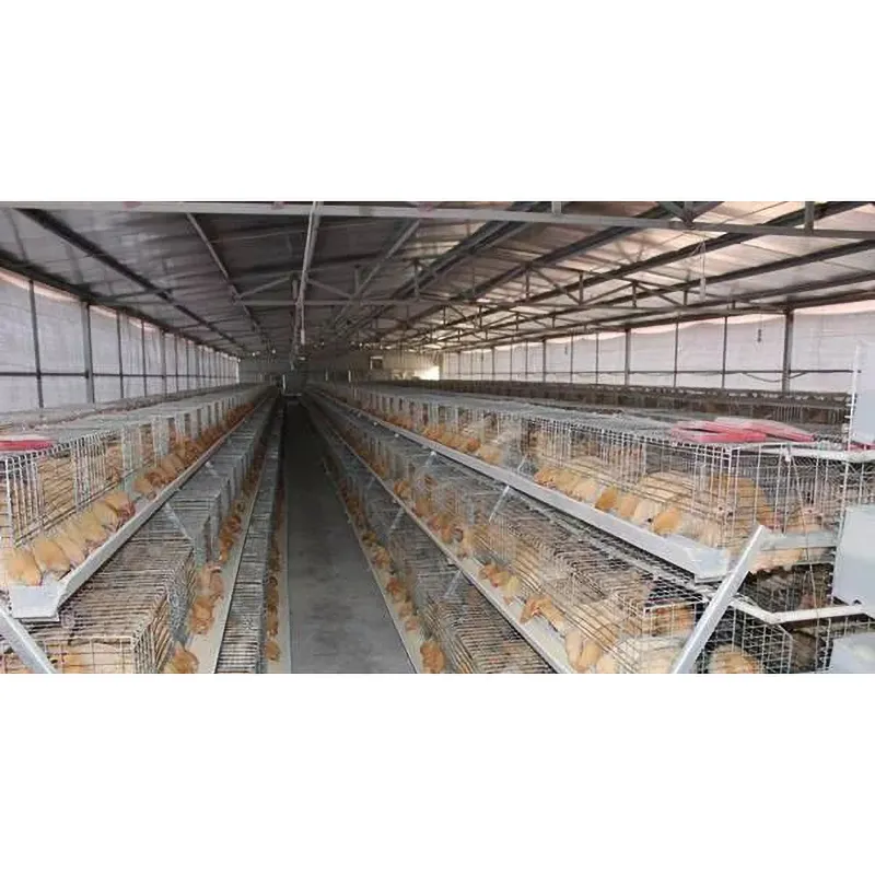 עלות נמוכה מבנה פלדה הפיליפינים רווילר עוף בית חוות עופות למכירה