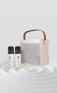Drahtloser Karaoke-Lautsprecher Verstärker lautsprecher Bluetooth-Lautsprecher mit zwei Mikrofonen und Mikrofon 3D-Stereo YS203