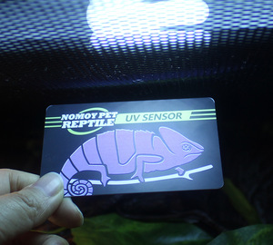 Недорогая опт, опт - Product Image 3