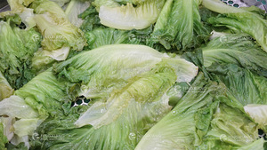 蔬果热烫机蔬菜清洗机双缸清洗清洗机