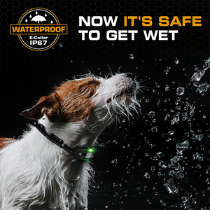 2025 संस्करण रिचार्जेबल डॉग प्रशिक्षण कॉलर 123 स्तर 1100yd रेंज वाटरप्रूफ रिमोट कंट्रोल छाल नियंत्रण छाल नियंत्रण छाल नियंत्रण - Product Image 4