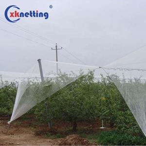 Hdpe Anti-Insekten netz Baums chutz Anti-Hagel-Netz Anti-Hagel-Netz Landwirtschaft schutz - Product Image 2