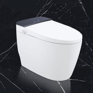 バスルーム多機能リモコン日本セルフクリーニング自動ワンピーススマートトイレ - Product Image 2