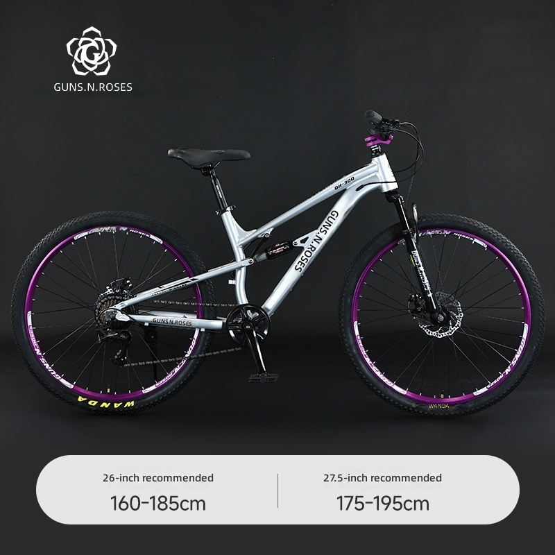Basic model-silver-8-speed