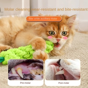 Juguete ecológico autocurativo para gatos, resistente a mordeduras, palo de insectos y frutas con hierba gatera para gatitos - Product Image 3