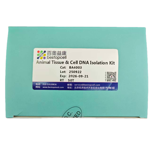 Hochreines Genomisches DNA-Extraktionskit für Tiergewebe & -zellen - Product Image 4