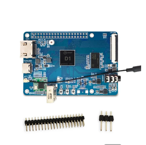LCPI All winner D1 Development Board 64-Bit RISC-V Linux SBC-Unterstützung Tina Debian System