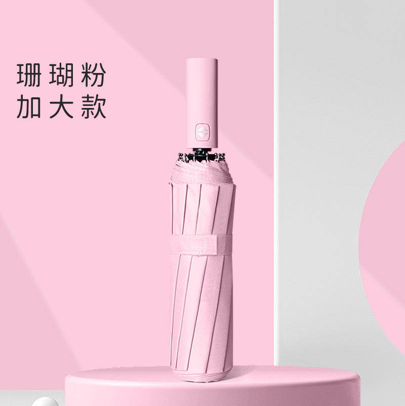 Fleur de cerisier rose