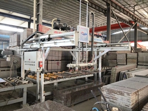 Heavy-duty BT-LM-1000 Automatische Platten Be-und Entladen Maschine - Product Image 3