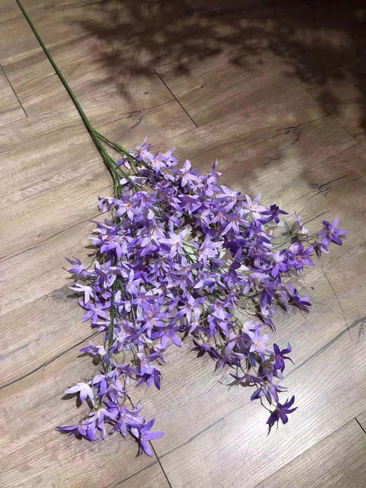 Fleur de cerisier