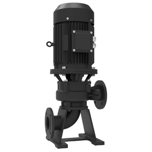 LW无堵塞自吸污水泵立式管道离心泵 - Product Image 1