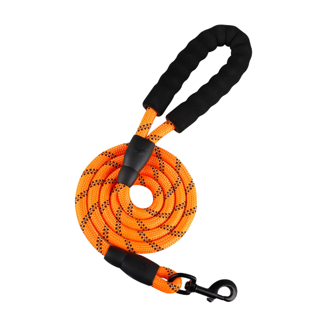 Correa naranja